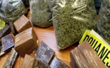 ​Retrouvée avec 17 kilogrammes de chanvre indien, dissimulés dans une bassine :   La commerçante Anais Sagna encourt 10 ans de réclusion criminelle