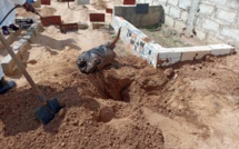 Mystique : Les révélations d’un féticheur sur les motivations réelles d’une tête de bœuf enterrée dans un cimetière.