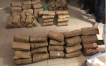 Une cargaison record de 2,2 tonnes de chanvre indien saisie par les Douanes