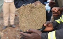 Trafic de drogue: Saisie record de 2, 282 tonnes de chanvre indien à...