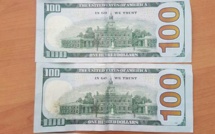 Saly : Une bande internationale de faux monneyeurs avec des centaines de dollars interpellée par la Police.
