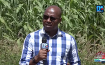 Ndengler : « Nous sommes satisfaits du Président Macky Sall... Nous continuons à réclamer nos terres... Nous cultivons pour vivre » (Abdoulaye Dionne)