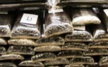 Un Nigérian dissimule 10 boulettes de cocaïne dans ses parties intimes