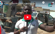 Vidéo / Yoff: Difficultés dans le secteur de la pêche, les mareyeurs réagissent...