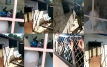 "On a vécu l'enfer": les images insoutenables des centres de détention de Kara