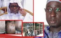 Torture, trafic de drogue, vol : Les explications de Serigne Mame Cheikh Mbacké