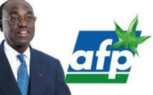 «L’Afp va présenter un candidat en 2024» (Pape Sagna Mbaye)