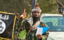Niger : 27 morts dans une attaque revendiquée par Boko Haram.