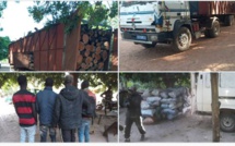 Trafic de bois : saisie d'un camion transportant du bois et d'un minibus chargé de 85 sacs de charbon vers Niankit
