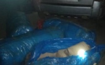 Forêt de Mbao : La gendarmerie saisit 150 kg de chanvre indien saisis dans un véhicule