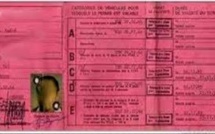 Désormais, circuler avec les permis «rose» est une infraction