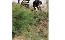 Les sapeurs pompiers attrapent un piton à la place de gadaye