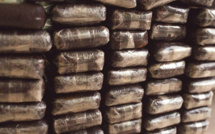Gambie: Nouvelle saisie de cocaïne et de haschisch, la DLEAG arrête plusieurs individus