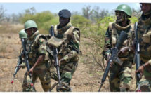 Casamance: Plusieurs rebelles tués dans les champs de bataille