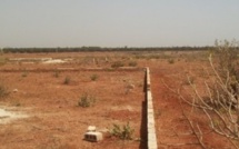 Foncier à Thiès : Après Mbour4, la cité Diamalaye risque de subir des démolitions à cause de la SNHLM