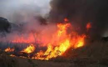 Feu de brousse à Popenguine- Les précisions du commandant des sapeurs pompiers  Cheikh Tine (audio)