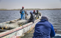 Urgent- Échauffourées entre  pêcheurs Gambiens et Sénégalais...