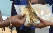 Thiès : Un grand dealer tombe avec 774 kilos de cannabis !