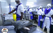 Mbour : Licenciement de 90 personnes à Ikagel...