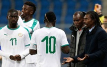 LES LIONS PERDENT DEUX PLACES DANS LE CLASSEMENT MONDIAL