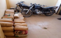 Vol et usage de chanvre: La bande à Cheikh Ndiaye interpellée à la cité Mixta