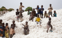 Burkina Faso : 472 000 tonnes de coton récoltés lors de la campagne 2020-21