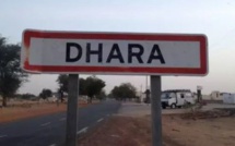 Pour une affaire de Tontine à Dahra-Djolof: Une belle-soeur tuée à coup de bâton