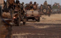 Opérations de sécurisation en Casamance : L’armée chasse les rebelles et exhibe ses trophées