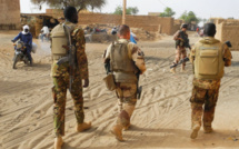 MALI: Plusieurs cadres de l'EIGS arrêtés par l'armée française