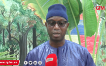 Troisième vague: Ce qu'en dit Pr Daouda Ndiaye