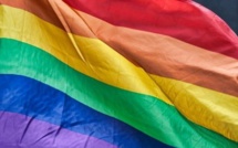 Drapeau arc-en-ciel : Qu'est-ce qui est pro LGBT et qu'est-ce qui ne l'est pas