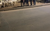 ​Interdiction de vendre des moutons sur la voie publique- Le  "daral  illégal"  des "2 voies" de Liberté VI démantelé