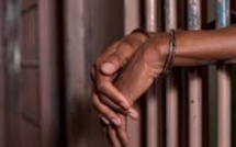 Louga : Un berger condamné à trois ans de prison ferme pour homicide