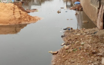 Pluies diluviennes à Dakar : Diamaguène/Sicap-Mbao, Keur Massar, Rufisque et plusieurs autres zones déjà sous les eaux.