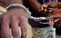 Thiaroye-Sur-Mer: La SU saisit 200 kg de chanvre indien chez un dealer