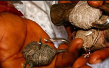Un faux marabout gruge une dame de 3,5 millions FCFA