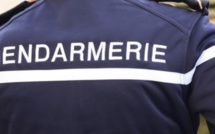 Deux redoutables agresseurs arrêtés avec des armes à feu