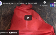 Ouest-Foire : un nouveau-né de sexe féminin retrouvé abandonné dans une poubelle.