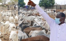 Harouna Galo Bâ, une symphonie pastorale à la conquête de la mairie de Gamadji Saaré