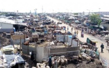 [Focus] Seras de Pikine : Insalubrité, pollution sonore, le calvaire des populations de la cité Darou Salam