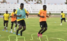 Sénégal-Namibie à 19h à Lat Dior : les «Lions» pour assommer la concurrence