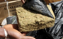 Trafic de drogue à Mbour: Un cultivateur tombe avec 5 kg de chanvre indien