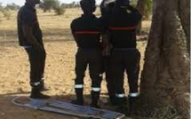 Linguère : Un berger de 19 ans retrouvé mort pendu à un arbre à Dodji