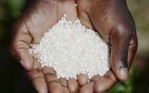 Sécurité Alimentaire et Nutrition : 281,6 millions d’Africains victimes de sous-alimentation en 2020