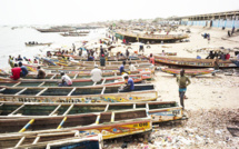 Drame au quai de pêche de Tonghor : Un mort au cours d’une bagarre