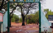Trois convoyeurs de ciment meurent au cœur du parc de Niokolo Koba