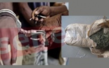 Mbour-Saly : La BR fait tomber 2 dealers avec 10 kg de drogue