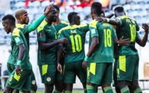 LES LIONS (QUASIMENT) AU COMPLET