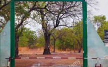 4 personnes torturées au parc Niokolo koba : Amnesty international, la Raddho et la Lsdh demandent l’ouverture d’une enquête