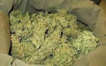 Trafic de drogue sur l’axe Diaobé – Bounkiling : un soudeur métallique interpellé avec cinq boulettes de haschich et 70 kg de “yamba
